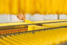 Charger l'image dans la galerie, Tagliatelle Amalfitane