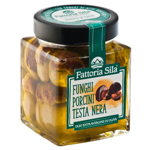 Funghi Porcini Testa Nera